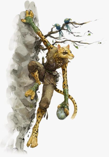 tabaxi from dnd